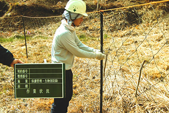 鹿の食害が深刻化している中、植栽木を食害から守るためステンレスの編み込まれた防護柵を設置しています。森林所有者の負担軽減として補助事業も利用できます。